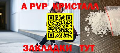 дурь Кингисепп