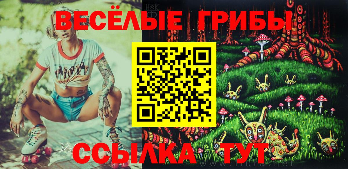 Галлюциногенные грибы GOLDEN TEACHER  Псилоцибиновые грибы прущие грибы  продажа наркотиков  Конаково  Вход с VPN 